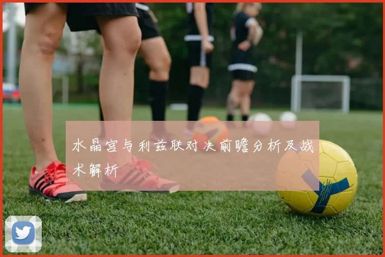水晶宫与利兹联对决前瞻分析及战术解析