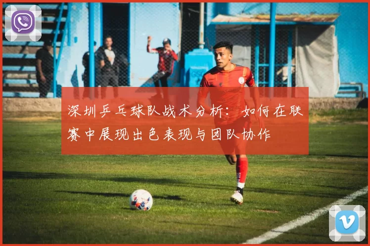 深圳乒乓球队战术分析：如何在联赛中展现出色表现与团队协作