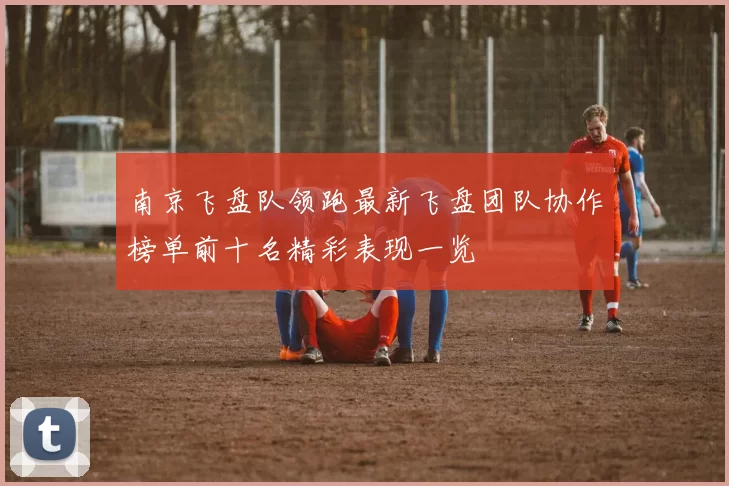 南京飞盘队领跑最新飞盘团队协作榜单前十名精彩表现一览