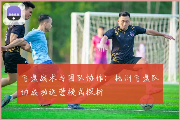 飞盘战术与团队协作：杭州飞盘队的成功运营模式探析