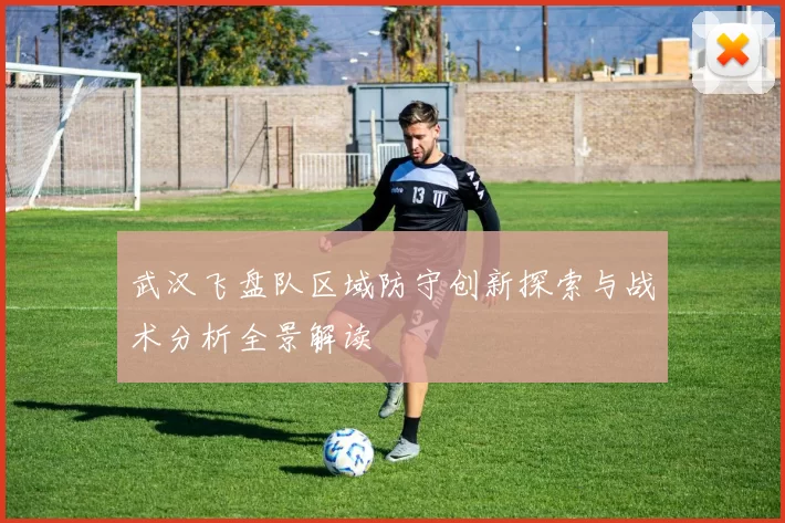 武汉飞盘队区域防守创新探索与战术分析全景解读
