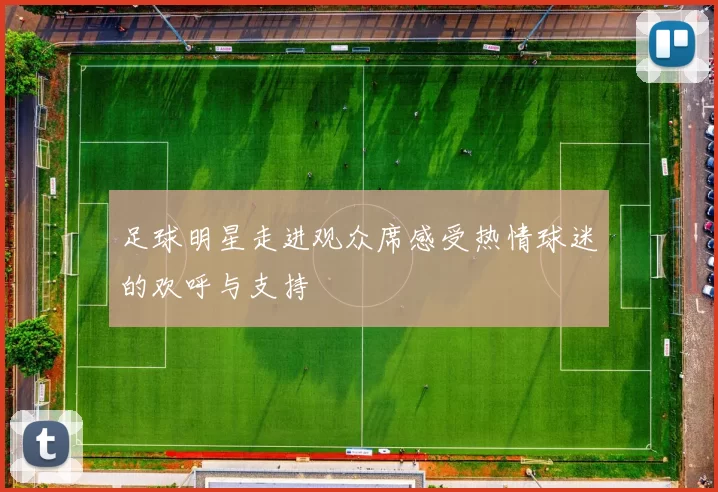 足球明星走进观众席感受热情球迷的欢呼与支持