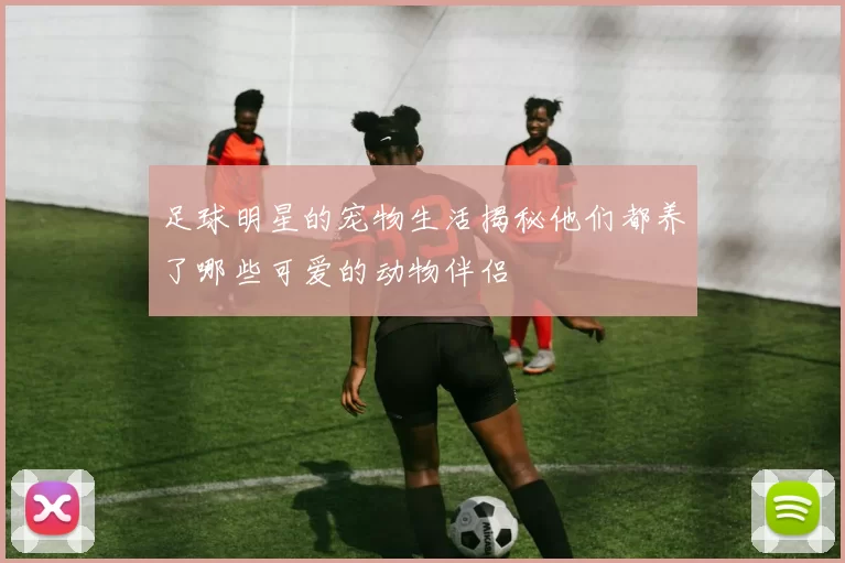 足球明星的宠物生活揭秘他们都养了哪些可爱的动物伴侣