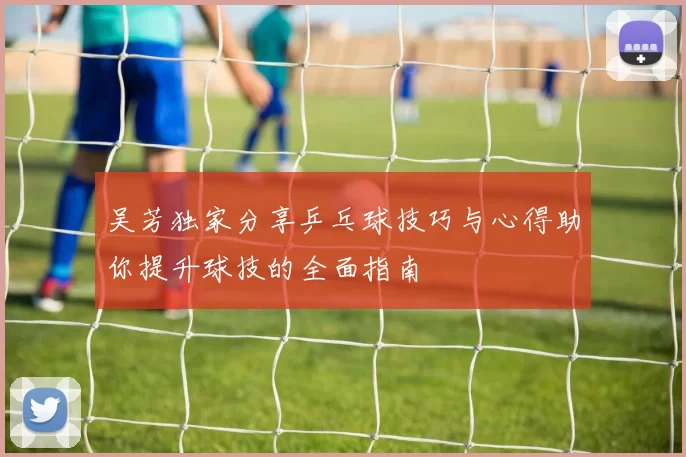 吴芳独家分享乒乓球技巧与心得助你提升球技的全面指南