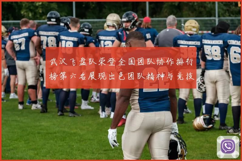 武汉飞盘队荣登全国团队协作排行榜第六名展现出色团队精神与竞技实力