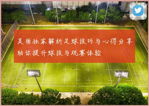 吴丽独家解析足球技巧与心得分享助你提升球技与观赛体验