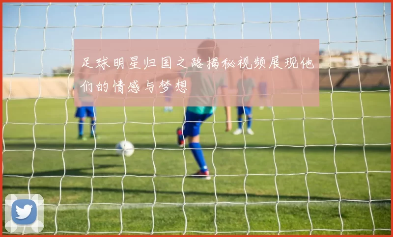 足球明星归国之路揭秘视频展现他们的情感与梦想