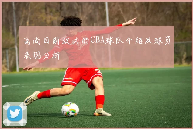 高尚目前效力的CBA球队介绍及球员表现分析