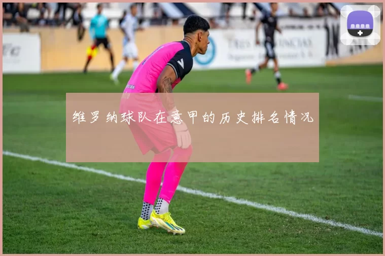 维罗纳球队在意甲的历史排名情况