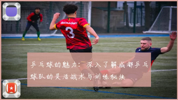 乒乓球的魅力：深入了解成都乒乓球队的灵活战术与训练秘诀