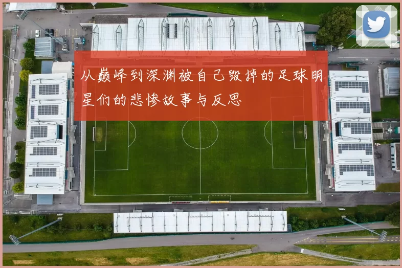 从巅峰到深渊被自己毁掉的足球明星们的悲惨故事与反思