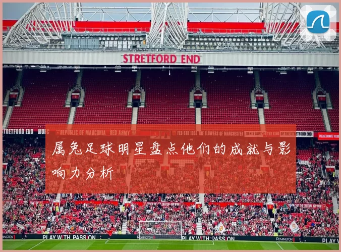 属兔足球明星盘点他们的成就与影响力分析