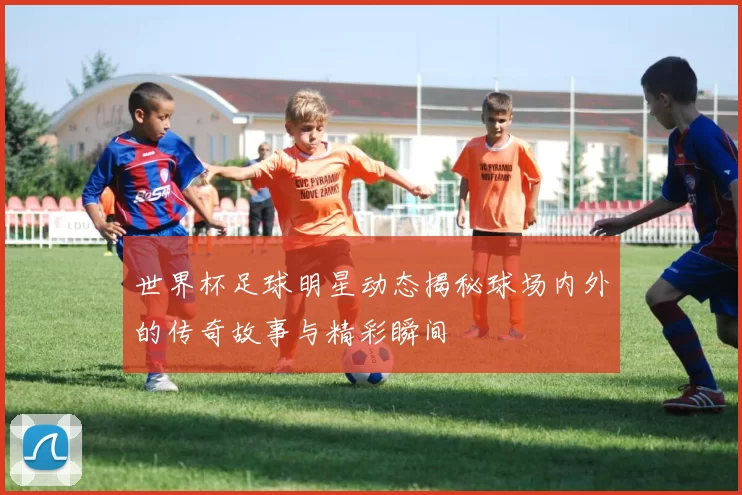 世界杯足球明星动态揭秘球场内外的传奇故事与精彩瞬间
