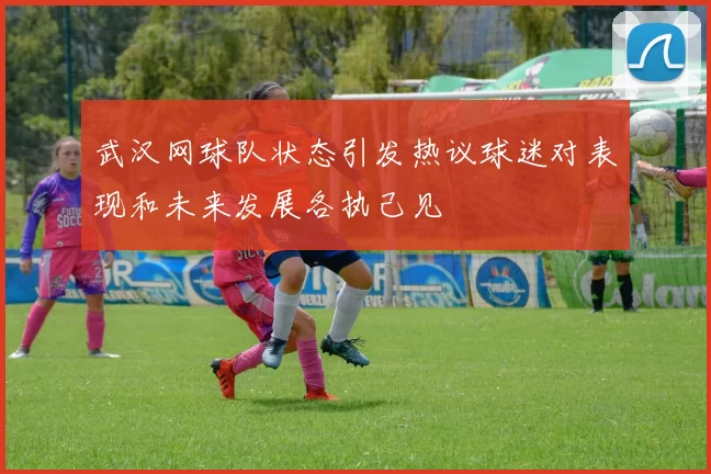 武汉网球队状态引发热议球迷对表现和未来发展各执己见